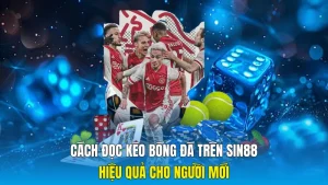 Cách Đọc Kèo Bóng Đá Trên Sin88 Hiệu Quả Cho Người Mới