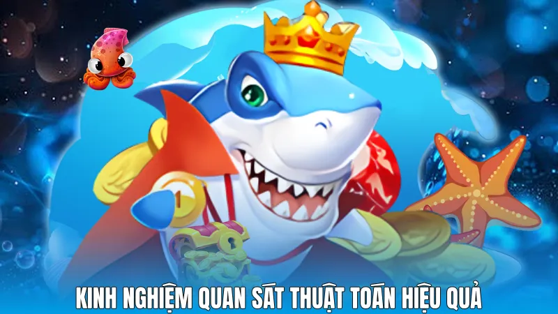 Kinh nghiệm quan sát thuật toán hiệu quả
